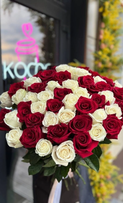 Красно-белая эквадорская роза 70 см