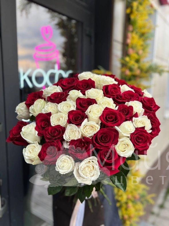 Красно-белая эквадорская роза 70 см