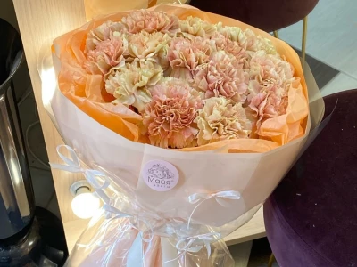 Букет из 15 гвоздик «Бабочки счастья»