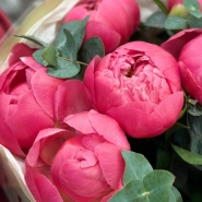 Розовый восторг 2