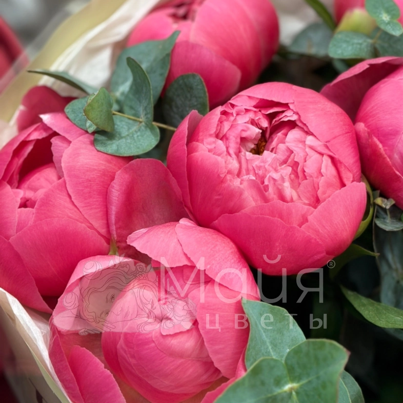 Розовый восторг