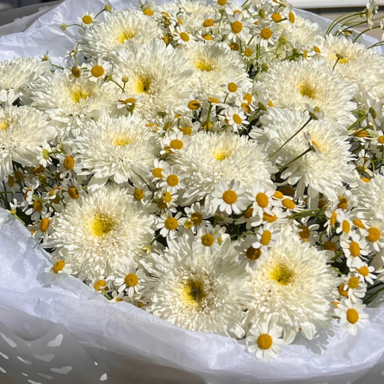 Букет из махровых ромашек и танацетума