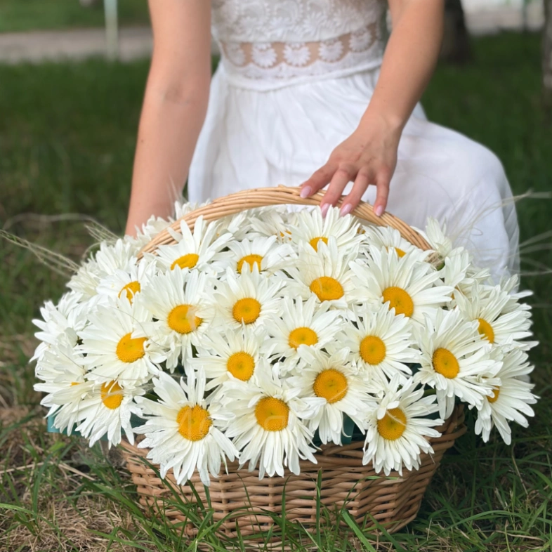 Корзина с крупными ромашками