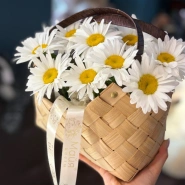 Плетёная сумочка из ромашек 1