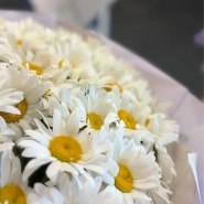 Букет из 51 ромашки 3