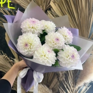 Букет из 7 георгинов 1