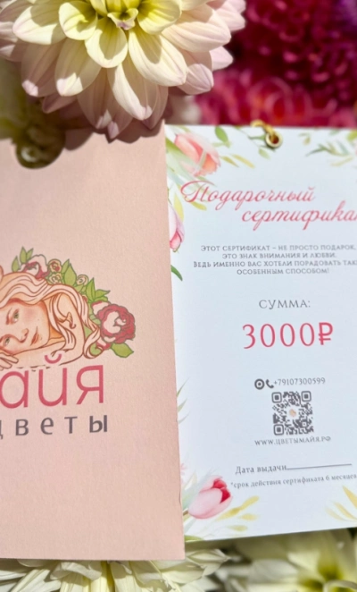 Подарочный сертификат на 3000 рублей