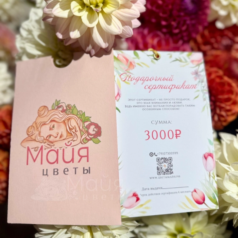 Подарочный сертификат на 3000 рублей